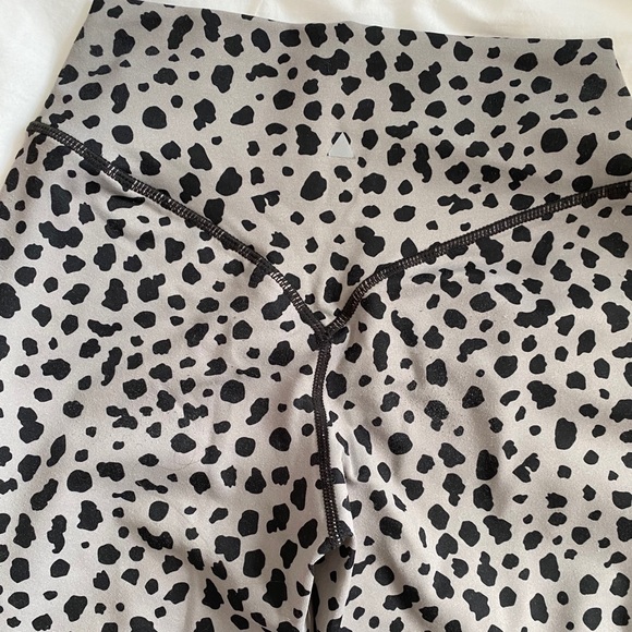 Vitality/ Balance Kingdom Ascend Snow Leopard - Picture 5 of 6